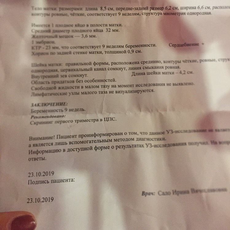 Узи 9 Недель Беременности Фото Узи 9 Недель Беременности Фото