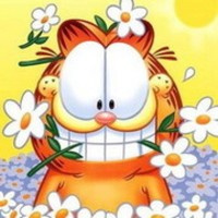 Услуга оказана, деньги получены! »