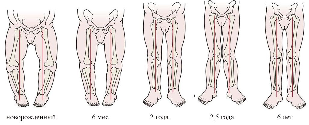 Строение ног у ребенка 2.3 месяца