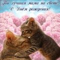Алиса