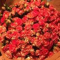 Мария
