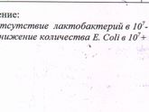Кишечная палочка