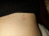 Сегодня ровно месяц после