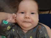 Родила сову (быстропост)