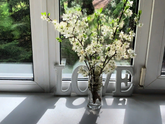Отличный флэшмоб, поддерживаю #цветыврачам