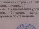 Ицн. Прогестерон . Анорексия
