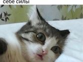 Фотография 2020-01-10 10:56:56