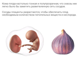 Фотография 2019-06-18 21:44:44