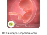 Растём по техоньку.