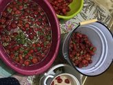 Чем занимаетесь по ночам