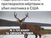 Аххах 😂😂😂😂
