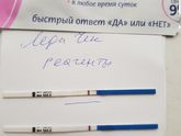 Реагенты Леди чек