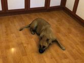 Как муж чуть со мной не развелся