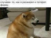 Жиза ?