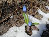 Делюсь своим секретом