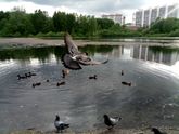 Наши прогулки, поделки и рецепт печенюшек:)