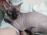Люблю свою кису😍