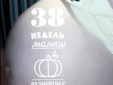 38недель и прием ЖК