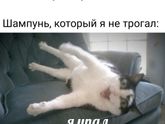 Жиза?