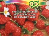 Садово-огородничье. Земляника.