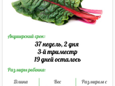 Скоро увидимся сынок ♥️???