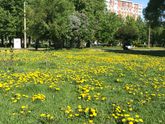 Капец я загорела сегодня))думала