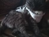 Решили, что время пришло...