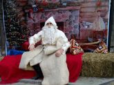 Новый год в Грузии или «Ахали Цели»