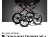 Коляска Esperanza Lotus Boss classic 2/1