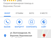 Не по теме детей!Котик, вет. Клиника.Воронеж