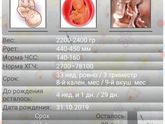 33 недели в ожидании