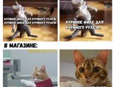 Какая же жиза !?