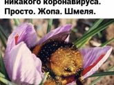 Фотография 2020-04-06 23:42:59