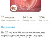 Сегодня 20 недель ??моя