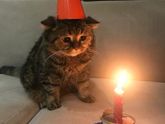 Привет , мои 25!