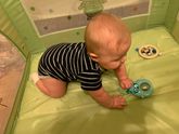 Мой Лев 🦁❤️