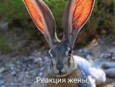 И не поспоришь ?