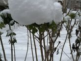 ❄️❄️❄️Люблю снежную погоду ❄️❄️❄️