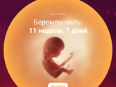 Почти 12 недель