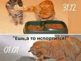 Готовы к нг?