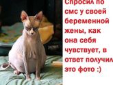У меня срок маленький,