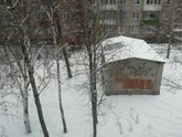 Поиски