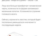 6 неделек позади ?
