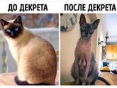 Фотография 2020-02-21 08:53:54