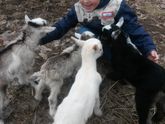 Фермерские продукты Рязань