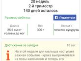 Сегодня экватор, 20 недель❤
