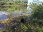 Погода прекрасная???жара, вода очень