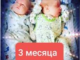 15 месяцев дочкам