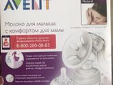 Молокоотсос