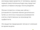 Новая 24ая ?